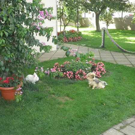 Lutikano Vodice